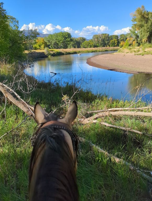 IMG_20230925_161556_01