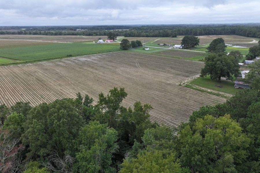 DJI_20241003085829_0032_D