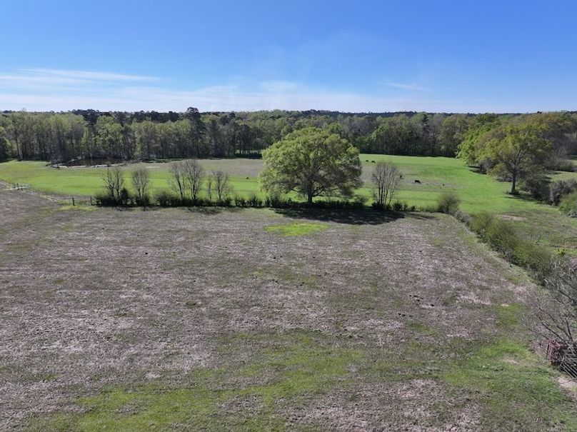 dji_fly_20260317_085436_0386_1773768883463_photo