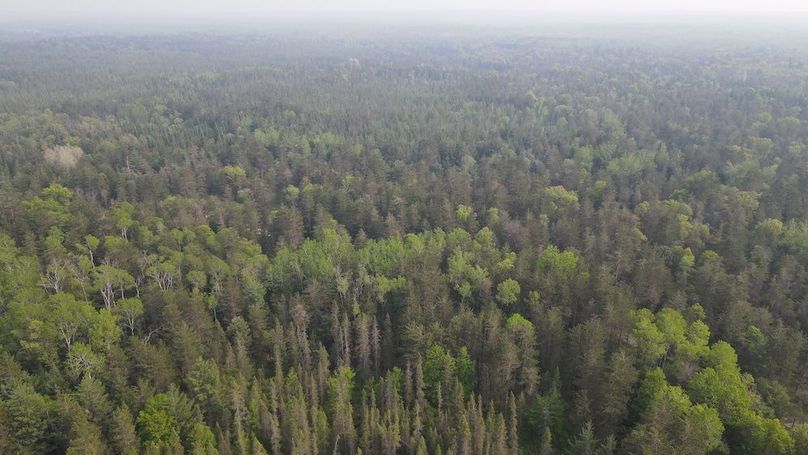 DJI_0945