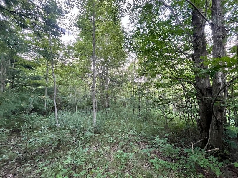 Chemung_78.26+Gutchess_Lumber_Photos_23