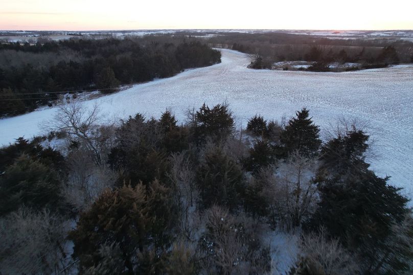 DJI_0560