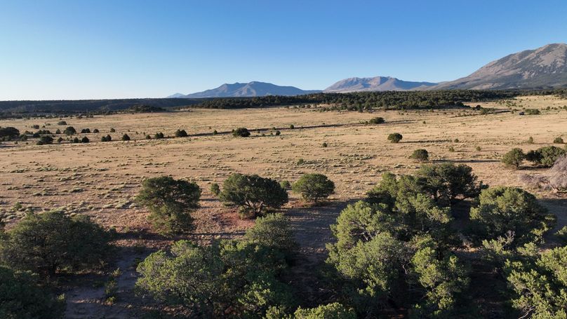 DJI_0846