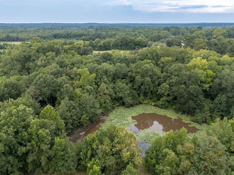 9 Jefferson 117ac - bethard-03