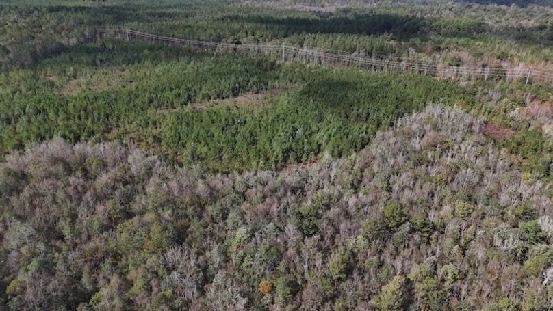 DJI_20231026105730_0014_D