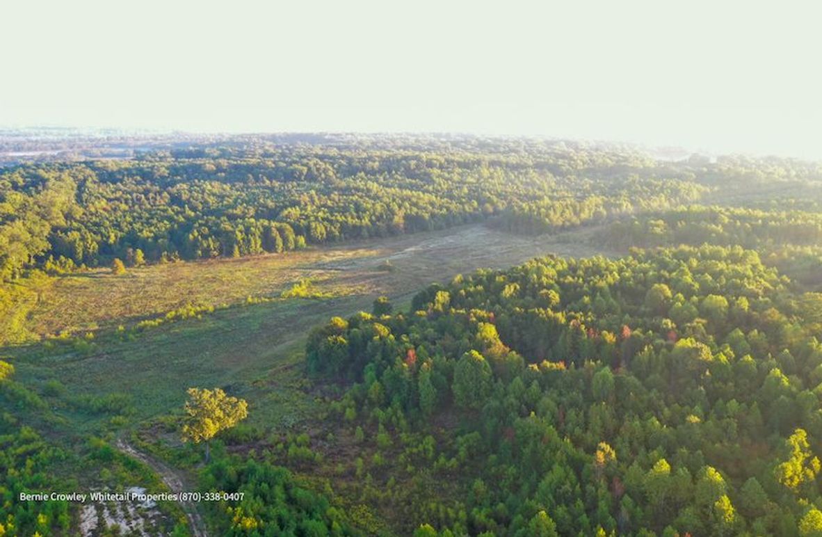 DeSoto 329 Prewett (Thompson) -04