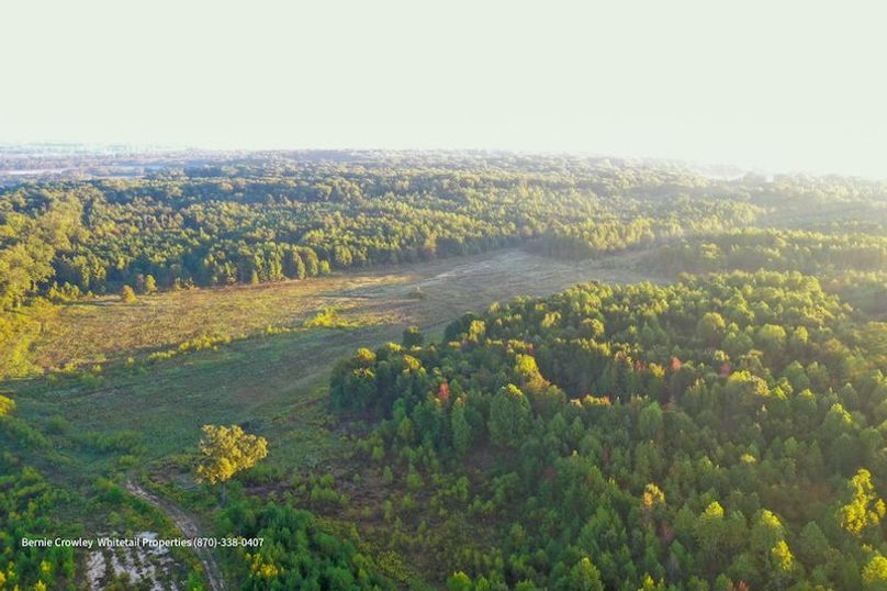 DeSoto 329 Prewett (Thompson) -04