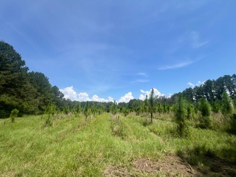 FCD84A4C-54DD-48BD-8308-C5206702E276_1_105_c