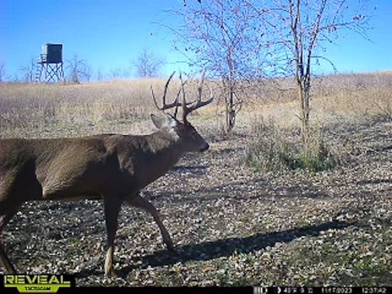 865509050418056-50-4-11172023123808-W1003334