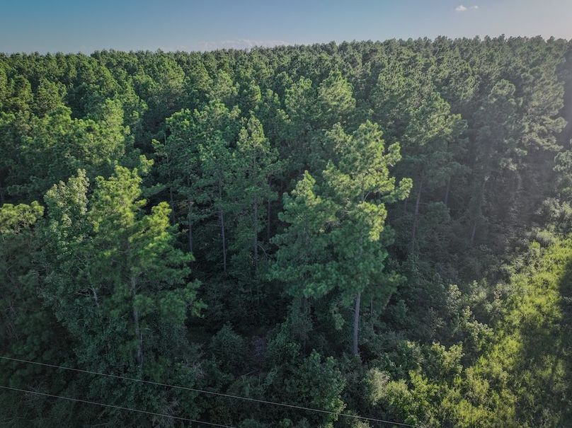 Copy of DJI_20240704191835_0063_D