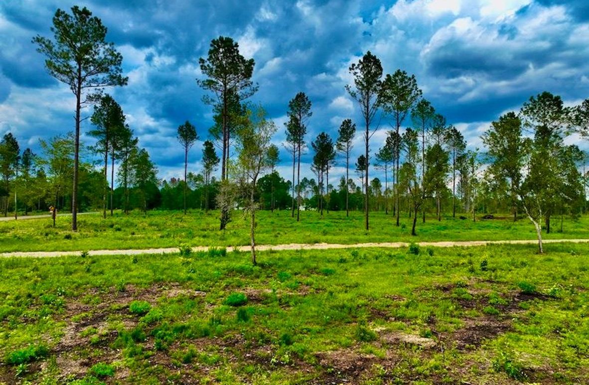 5B992C88-E17F-489C-8A1E-362F9AB3055C_1_105_c