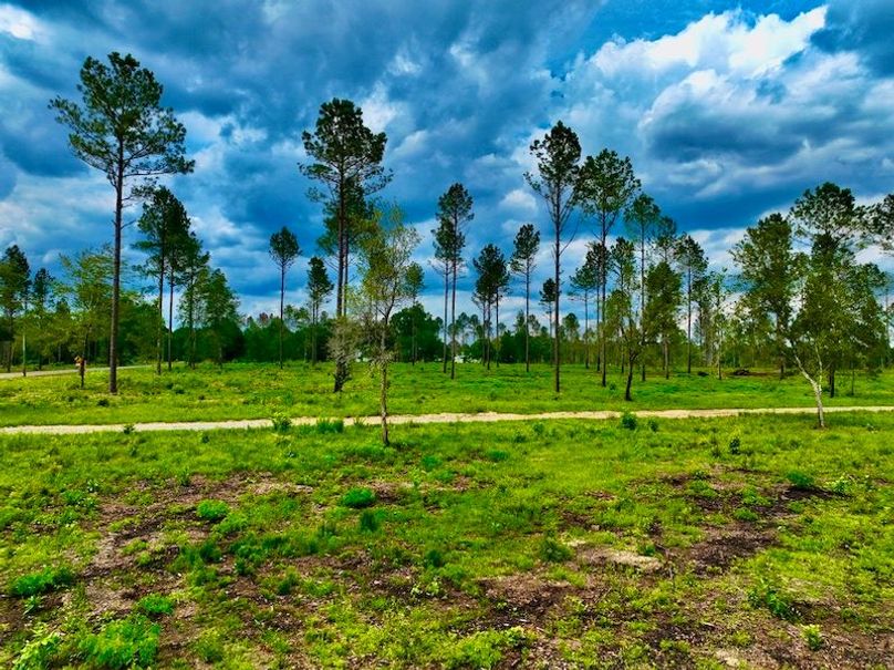 5B992C88-E17F-489C-8A1E-362F9AB3055C_1_105_c