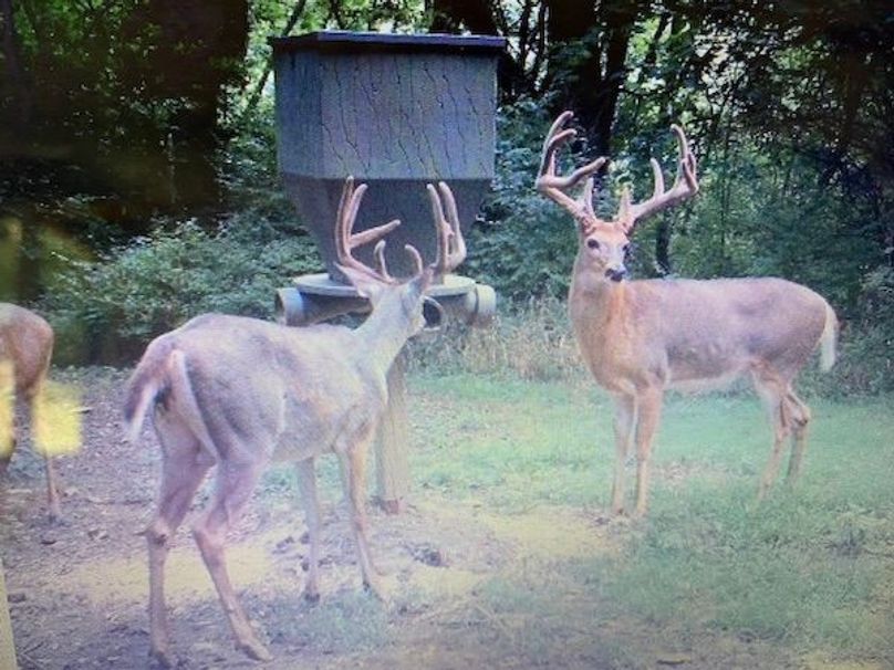 8E23B3A2-D902-42DC-AD2B-32F010716E09