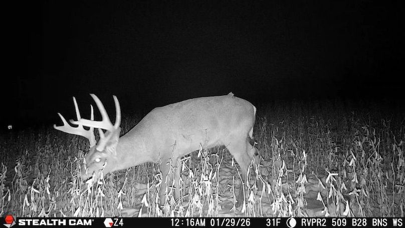 2026012900163301018744_ColorizationType.none