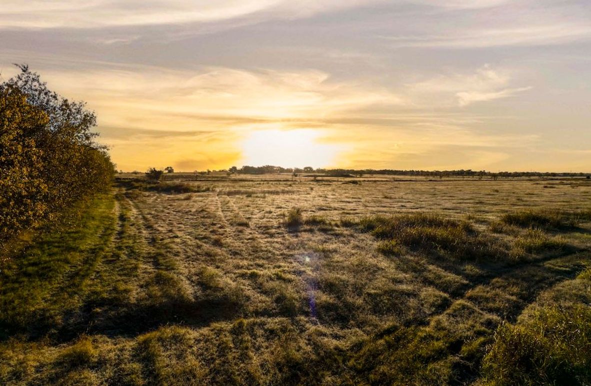 Cooke County- 13.5 acres no pond (2.4 of 21)