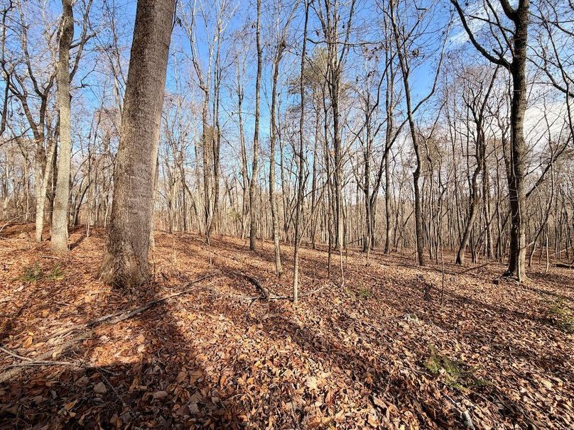 Roane Co TN 396 20251127_77