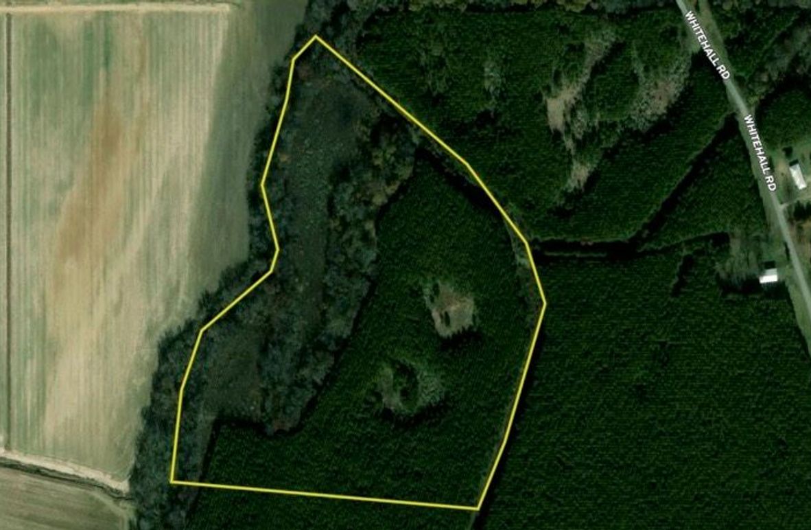 Richland  31.75. Guillot close copy