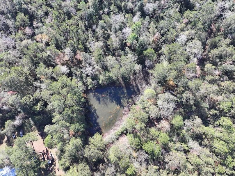 dji_fly_20251209_121832_0760_1765308500374_photo