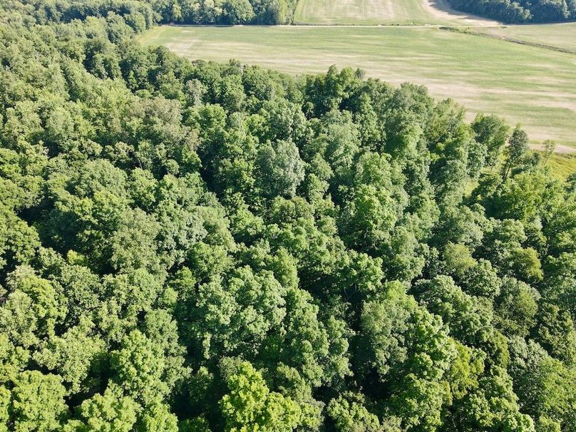 dji_fly_20260604_093844_66_1780580332271_photo