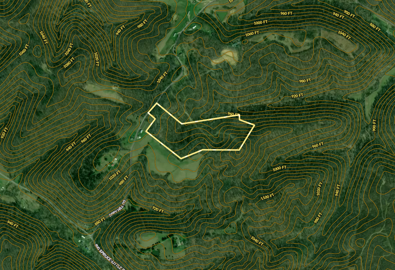 Screenshot 2025-08-25 at 1.35.38 PM