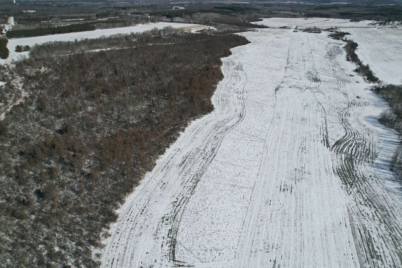 dji_fly_20260311_115406_107_1773248426797_photo (1)