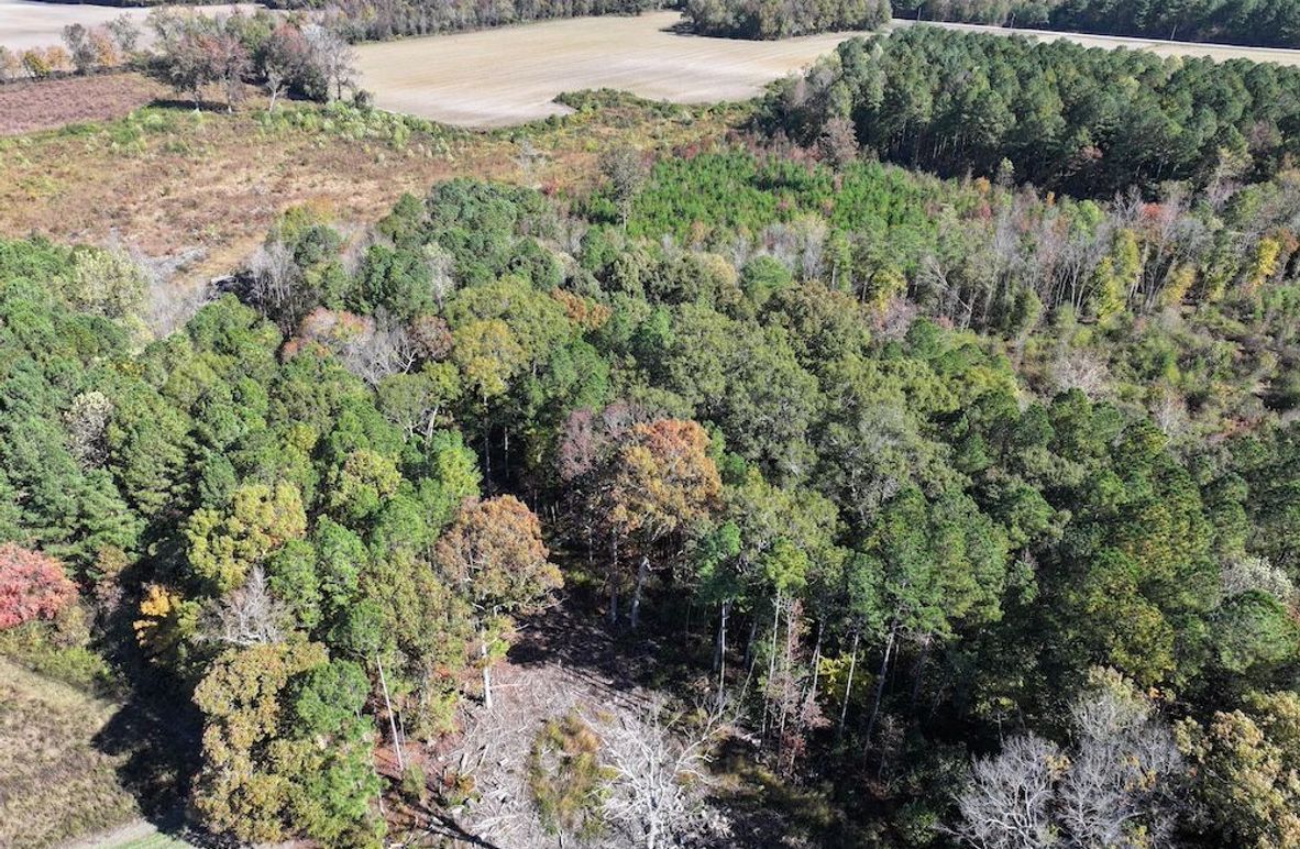 DJI_20251018123722_0135_D