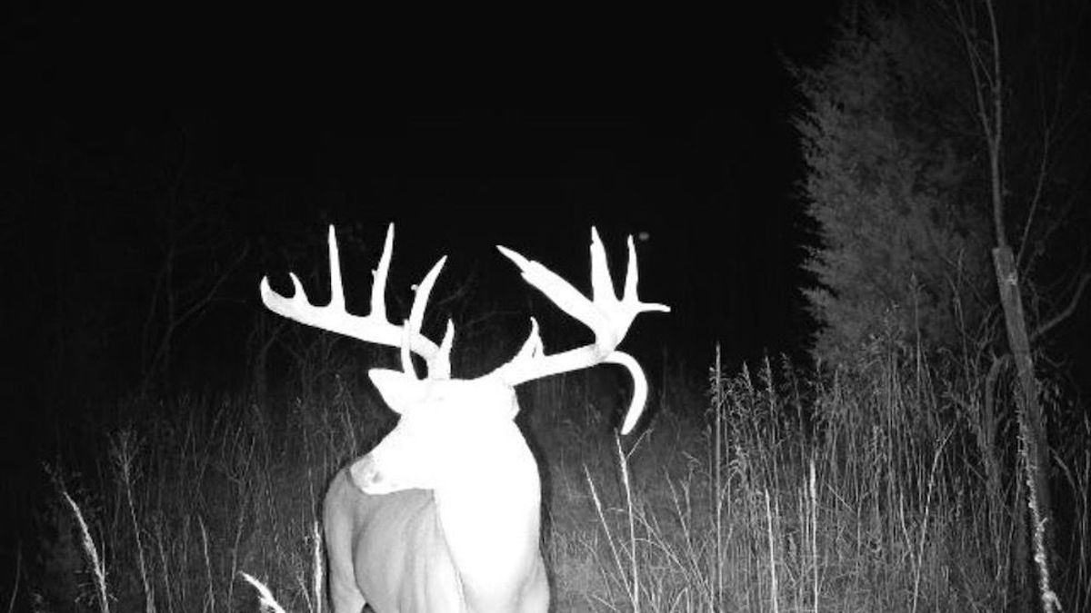 One Of A Kind Trophy Hunting Located In South Central Oklahoma