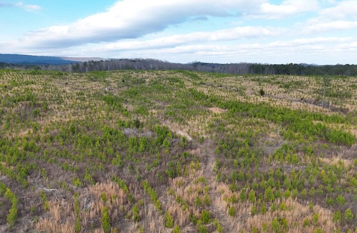 DJI_20260303144402_0005_V