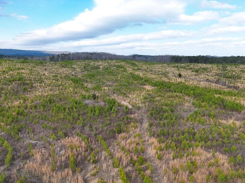 DJI_20260303144402_0005_V