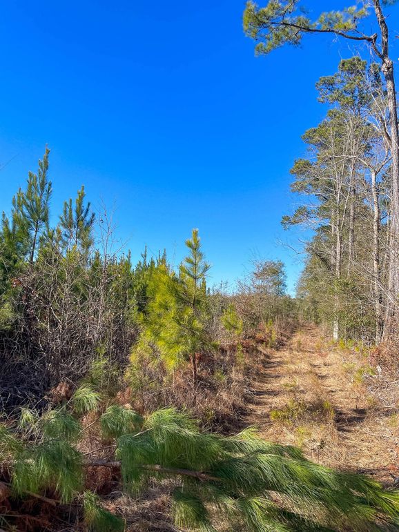 Pender NC 382 - Edits-52