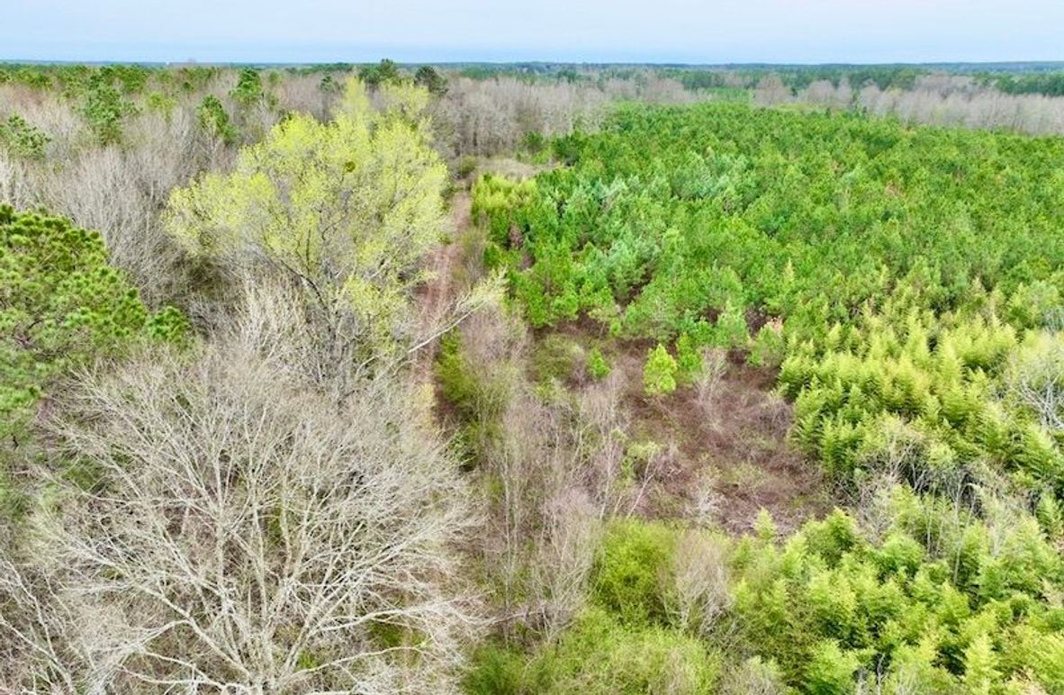 3A074C4C-6F58-4C29-8954-664AD8032F36_1_105_c