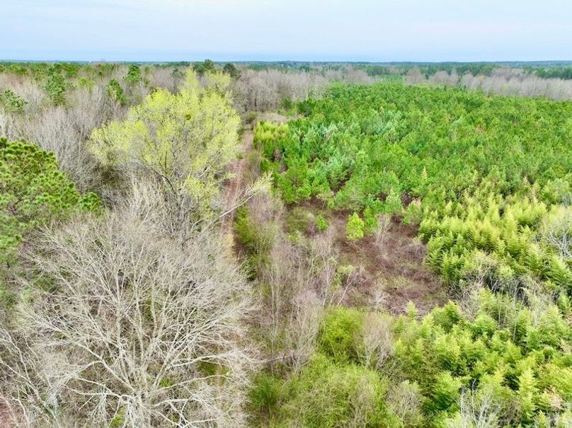 3A074C4C-6F58-4C29-8954-664AD8032F36_1_105_c