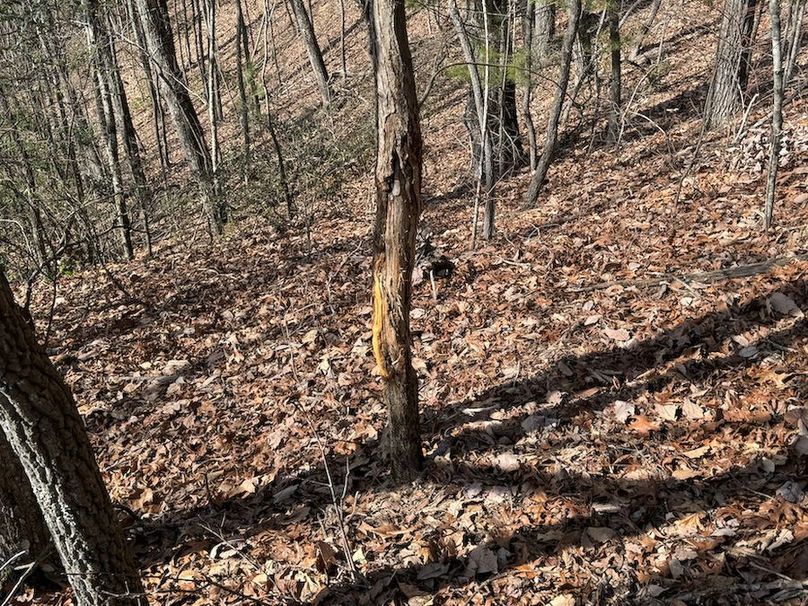 Cherokee 118.85 Harris Top-35