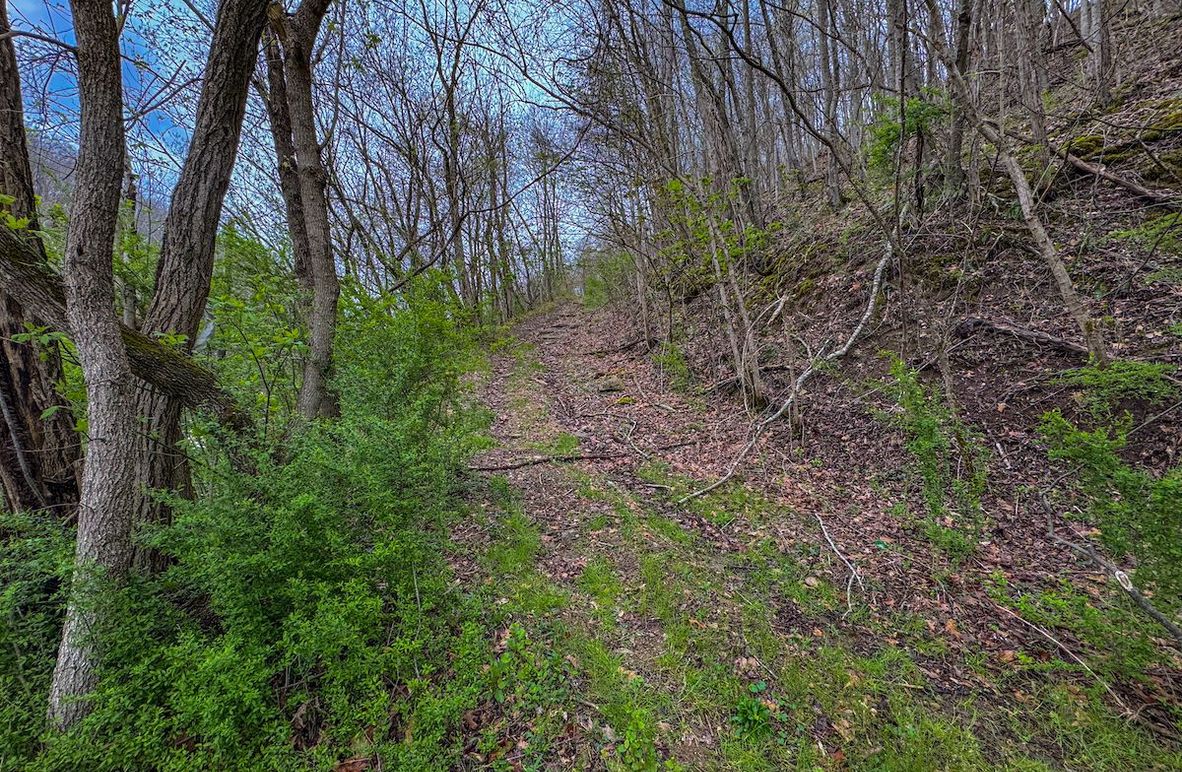 Wirt, WV 39.564 AC Full-06