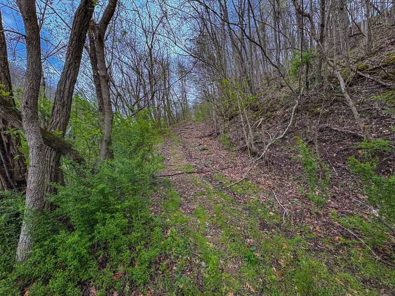 Wirt, WV 39.564 AC Full-06