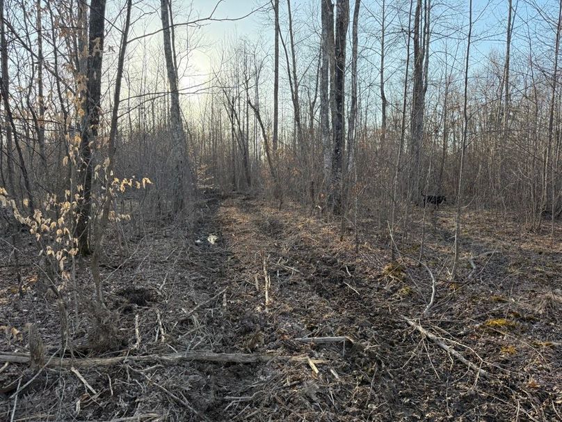 012 newly opened trail leading to the west part of the property