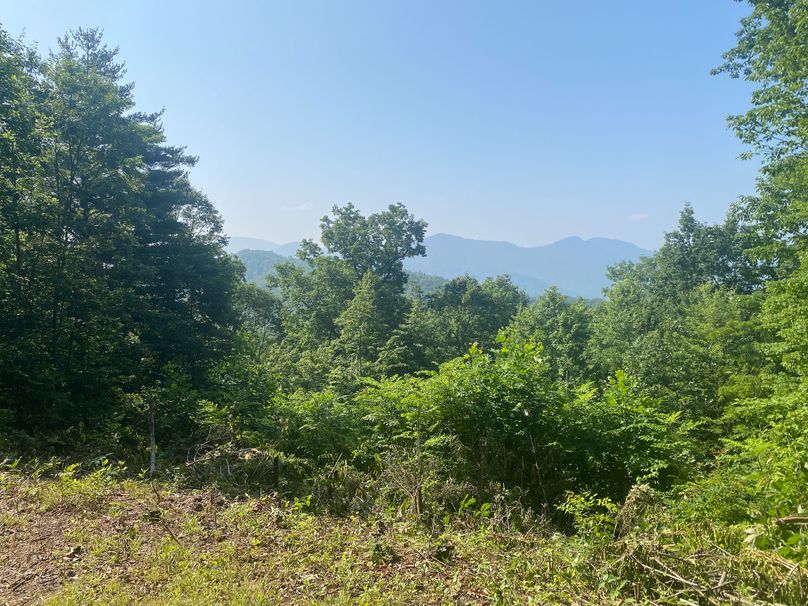 Macon 3.38 Bloodworth-03