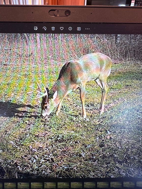 72245071645__BE4470F2-784B-4A7B-86A2-E31057B7E11E