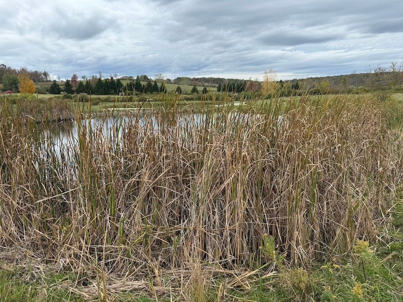 Chemung_184.12_Sterling 39