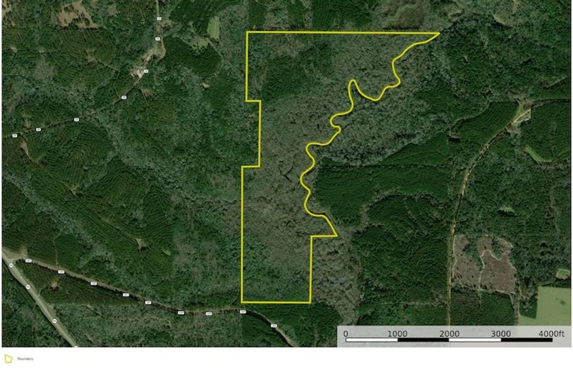 Aerial #1 - 217 Acres - Covington, AL