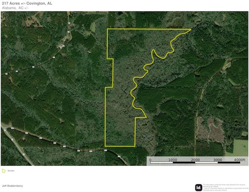 Aerial #1 - 217 Acres - Covington, AL