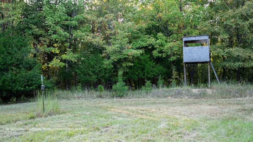 Tallahatchie 847 Messina-37