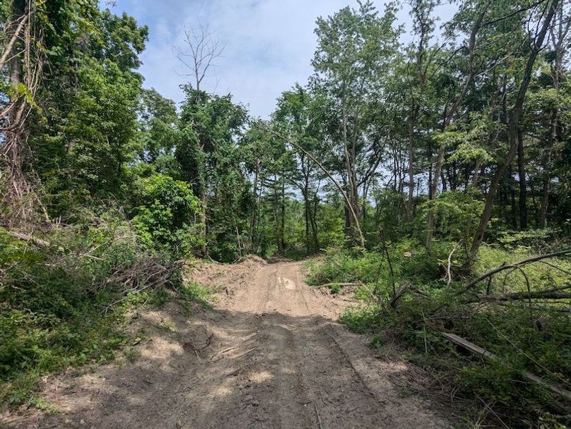 PXL_20240625_181308631