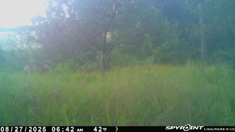 Image-1(10)