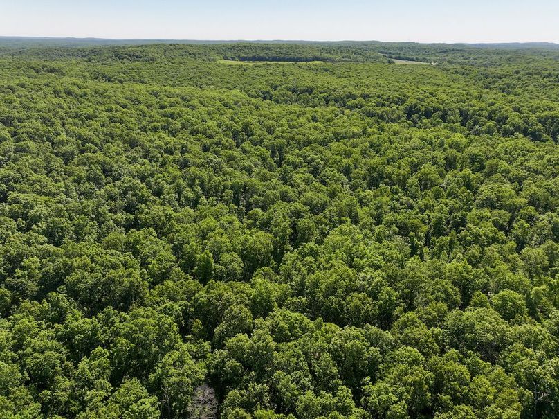 DJI_20250522095328_0373_D