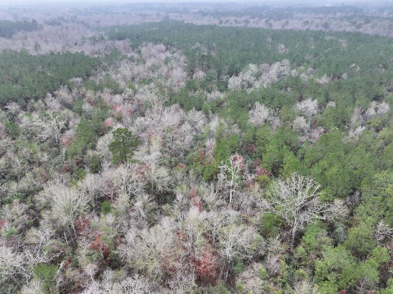 dji_fly_20260122_094148_0852_1769444813496_photo