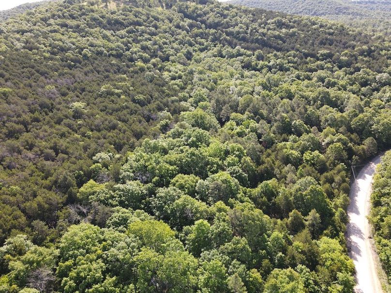 dji_fly_20260514_092434_762_1778768714190_photo