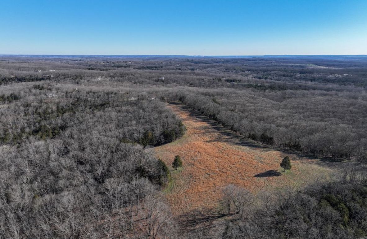 DJI_20260317092357_0949_D