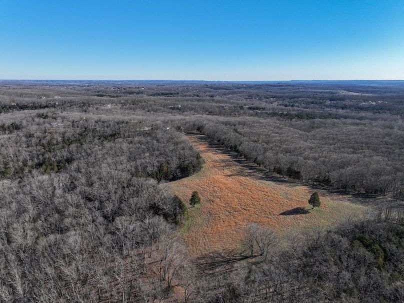 DJI_20260317092357_0949_D