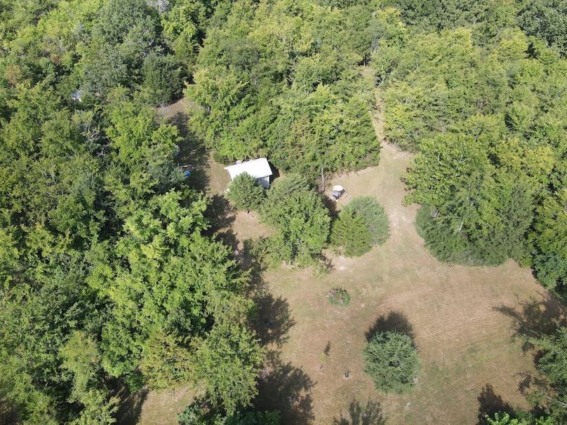 dji_fly_20240808_095628_311_1723128999308_photo